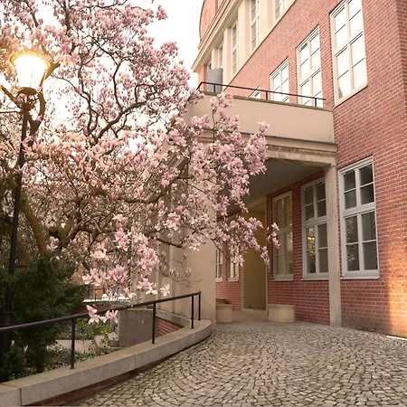 Energetic In Center! * Wroclaw